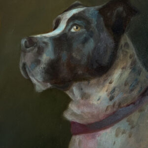 Dawn Claydon Pet Portrait